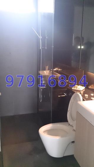 Fifteen Robin (D10), Condominium #65972962